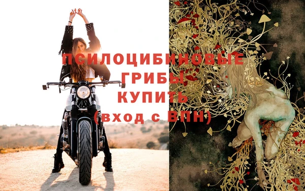 apvp Михайловка