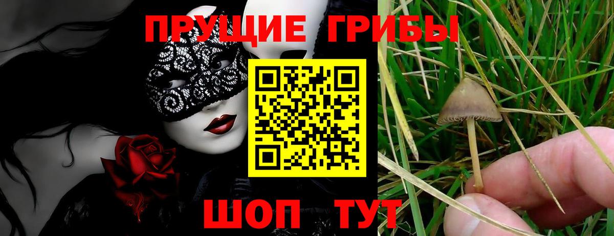 Галлюциногенные грибы Cubensis  Псилоцибиновые грибы ЛСД  Тула  Вход с VPN 